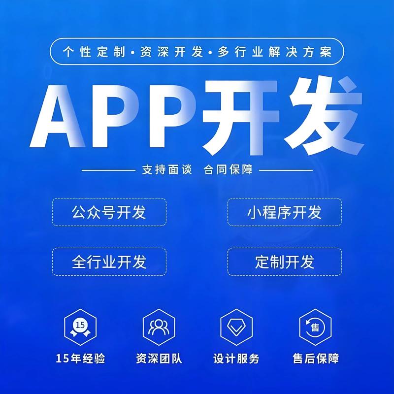 软件开发